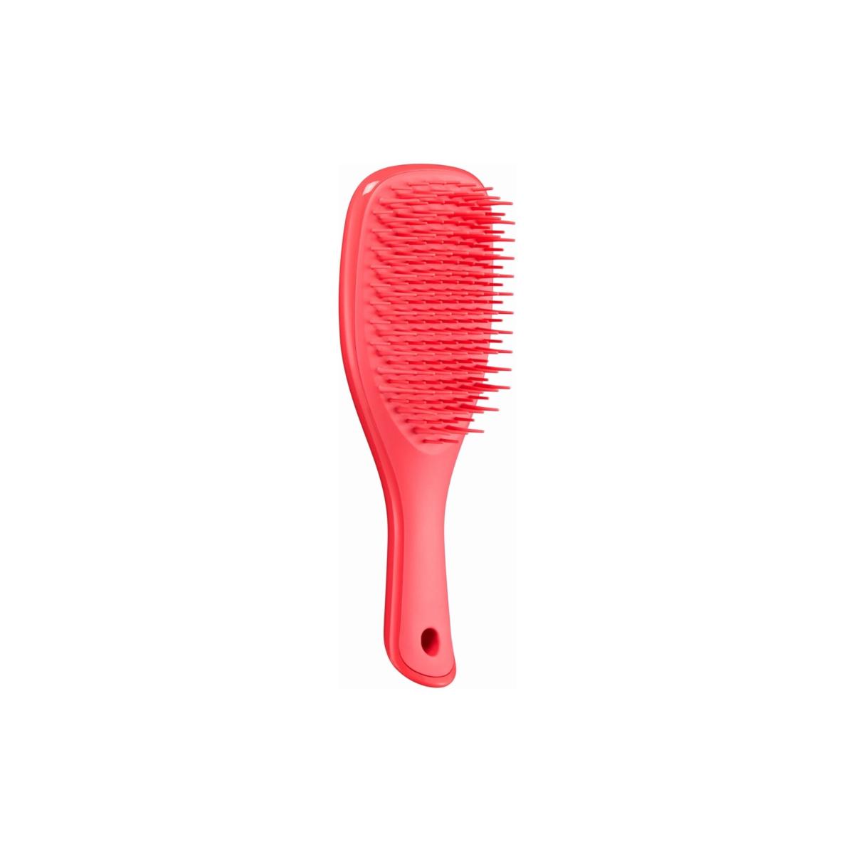  برس مو مدل مینی - Mini Wet Detangler hair brush