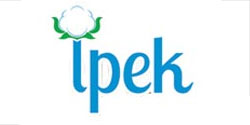 IPEK-ایپک