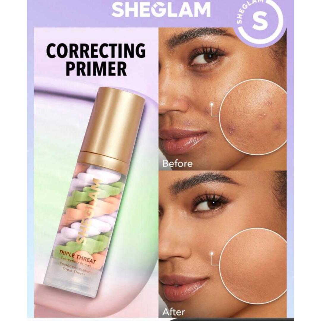 پرایمر ۳ کاره شیگلم