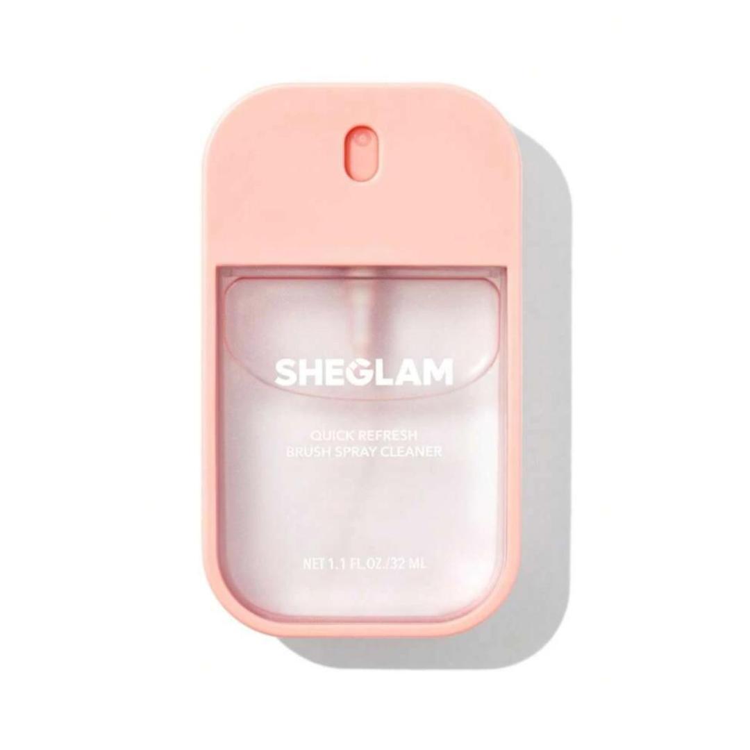 اسپری تمیز کننده براش شیگلم